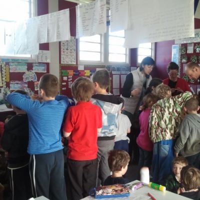 Bees At GrovetownSchoolBlenheim 2