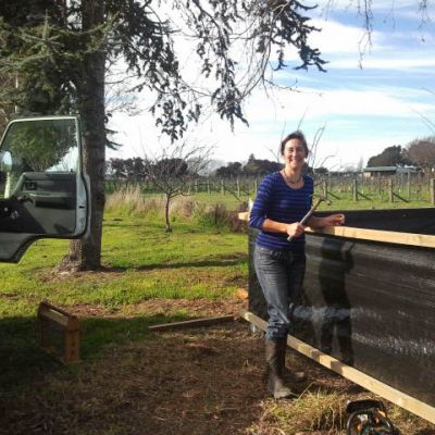 Bees At GrovetownSchoolBlenheim 3