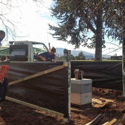 Bees At GrovetownSchoolBlenheim 4