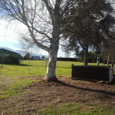 Bees At GrovetownSchoolBlenheim 5